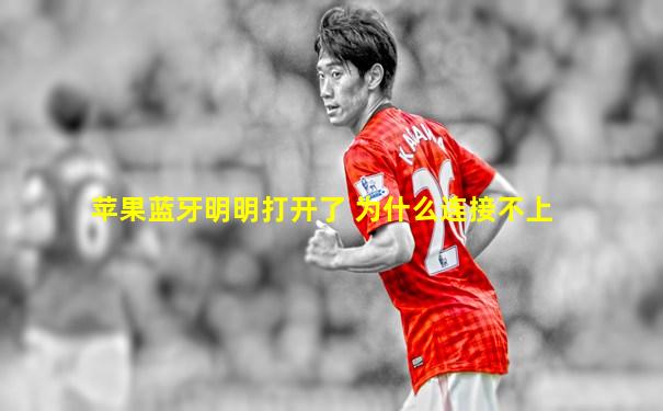 苹果蓝牙明明打开了 为什么连接不上